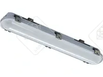 Светильник INNOLUX 14 701 ДСП-01-ПП-20-600-4К-IP65 14701