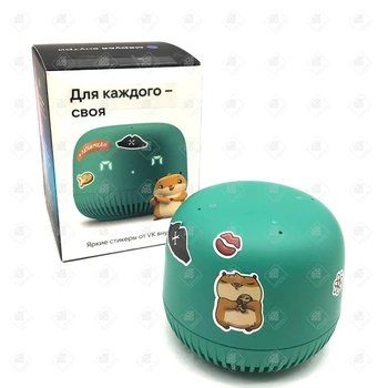 VK Капсула Нео с голосовым помощником Маруся