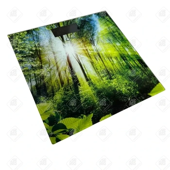 Напольные весы Orion