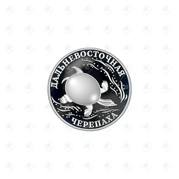 00505/5109-0066/Дальневосточная черепаха 1 рубль, серебро 900, вес 15.55 г.