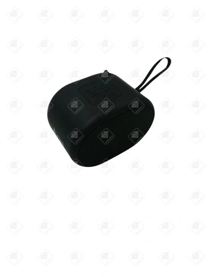 Колонка Agni