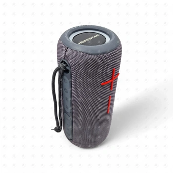 Колонка Hopestar P39