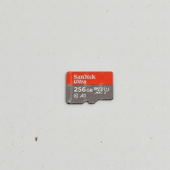 Флешка Sandisk 256 GB