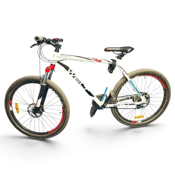 Велосипед Welt Ride 10/0 D