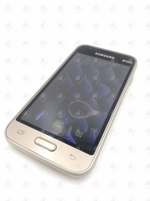 Samsung Galaxy J1 Mini SM-J105H, 8 ГБ, золотистый, 768 МБ