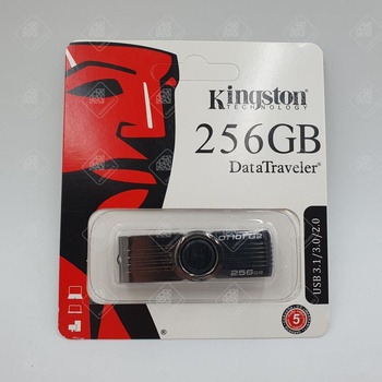 USB Flash Kingston 256gb